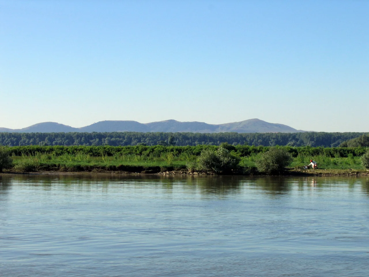 Bank of Danube in the Delta.