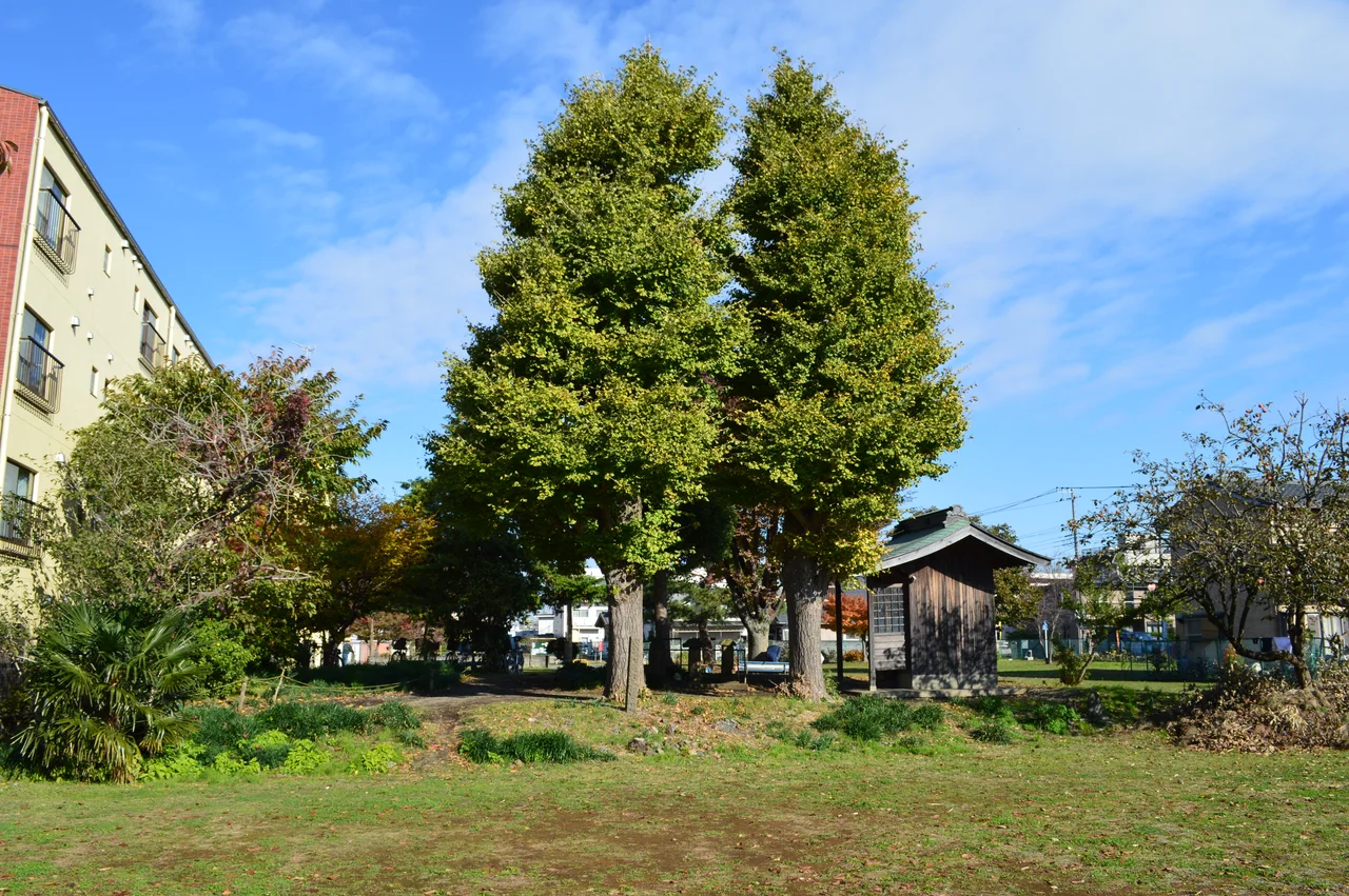 相模国分尼寺跡 金堂